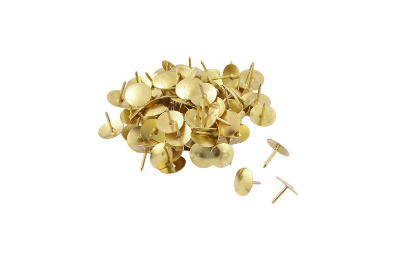 PUNAISE DOREE PQT DE 50