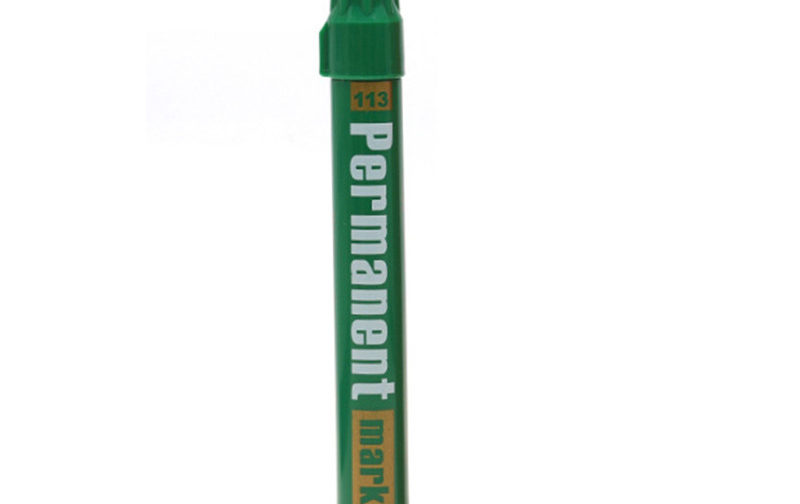 MARQUEUR PERMANENT GXIN 113 VERT