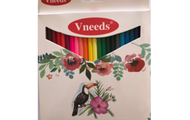 CRAYON COULEUR VNEEDS PQT DE 24 GM