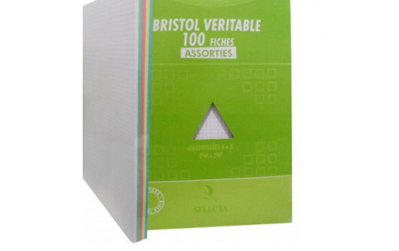 FICHES BRISTOL 5/5 180GR GM 210*297MM COULEUR PQT DE 100