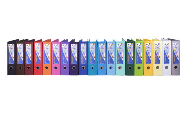 CLASSEUR A LEVIER EXPERT DOS80 (1unité)